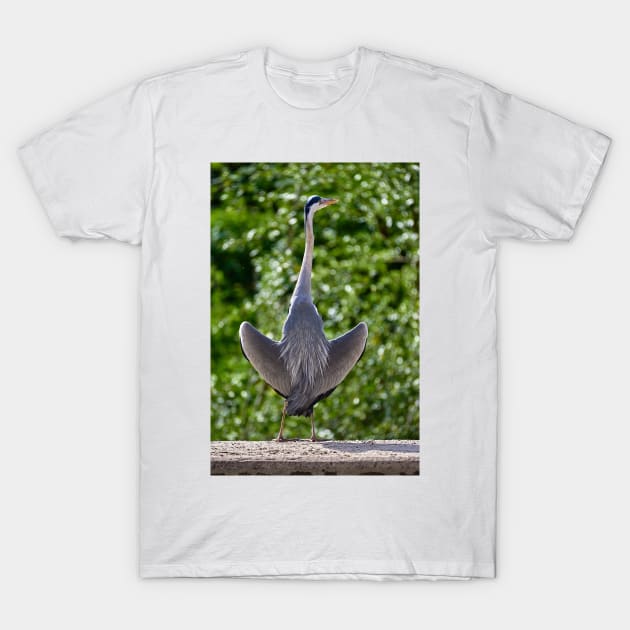 Hesitant Heron T-Shirt by mbangert